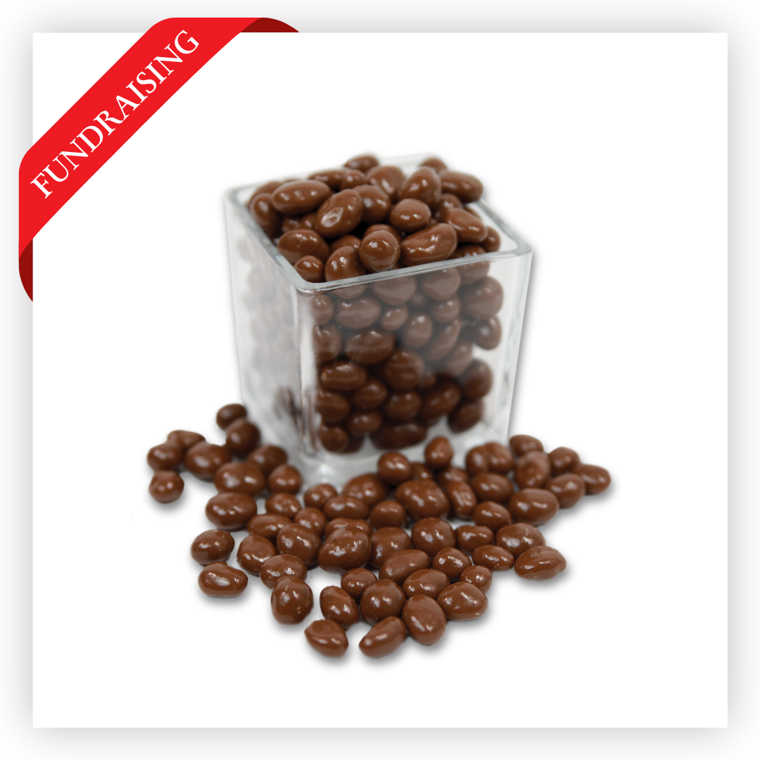 Chocolate Covered Raisins