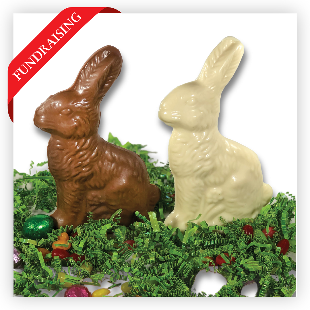 Chocolate Sitting Bunny