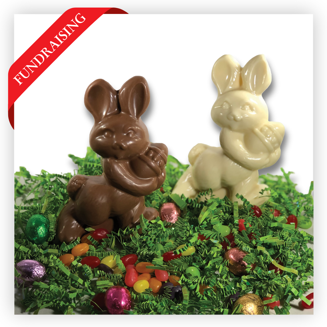 Chocolate Bunny with Egg