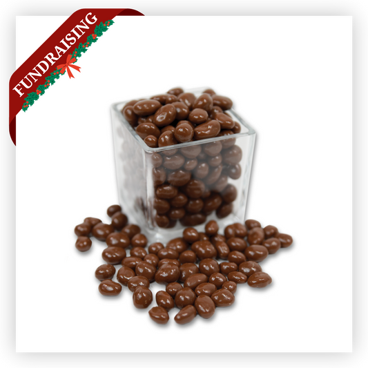 Chocolate Covered Raisins